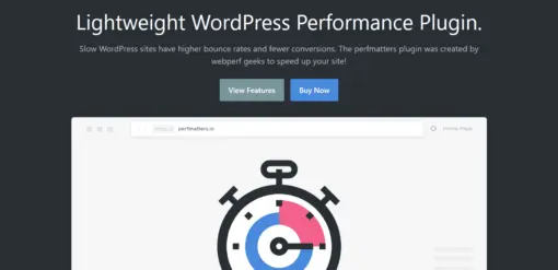 Perfmatters Web Performance Plugin for WordPress