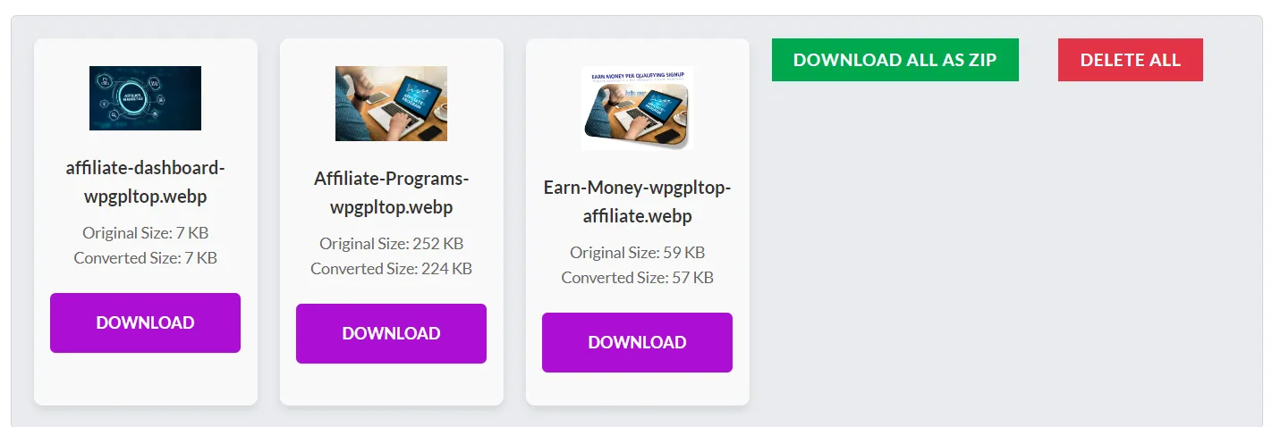 Image Converter Website Maker Plugin WordPress - with Original License Key - Image 7